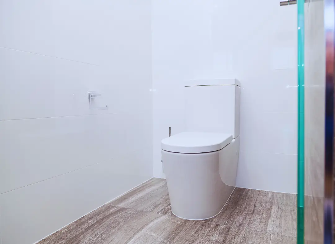 Remplacement de wc Cornebarrieu